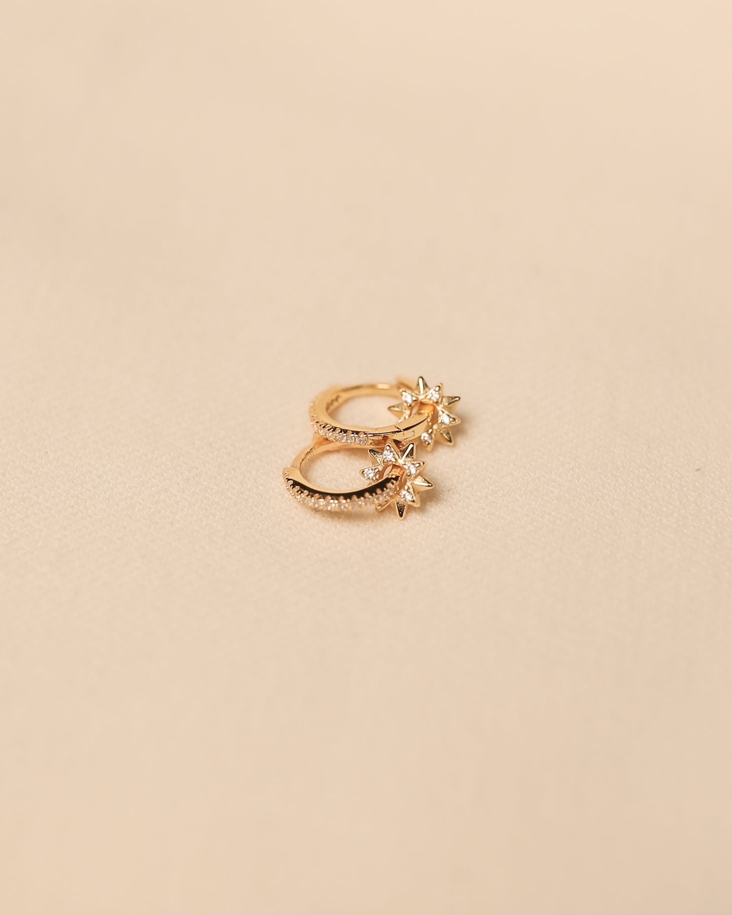 Butterfly CZ Earring